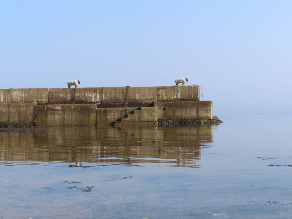 Corrie Harbour with sheep, Isle of Arran