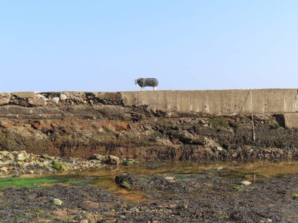 Sandstone Quay at Corrie on the Isle of Arran - harbour view with black sheep and rocks