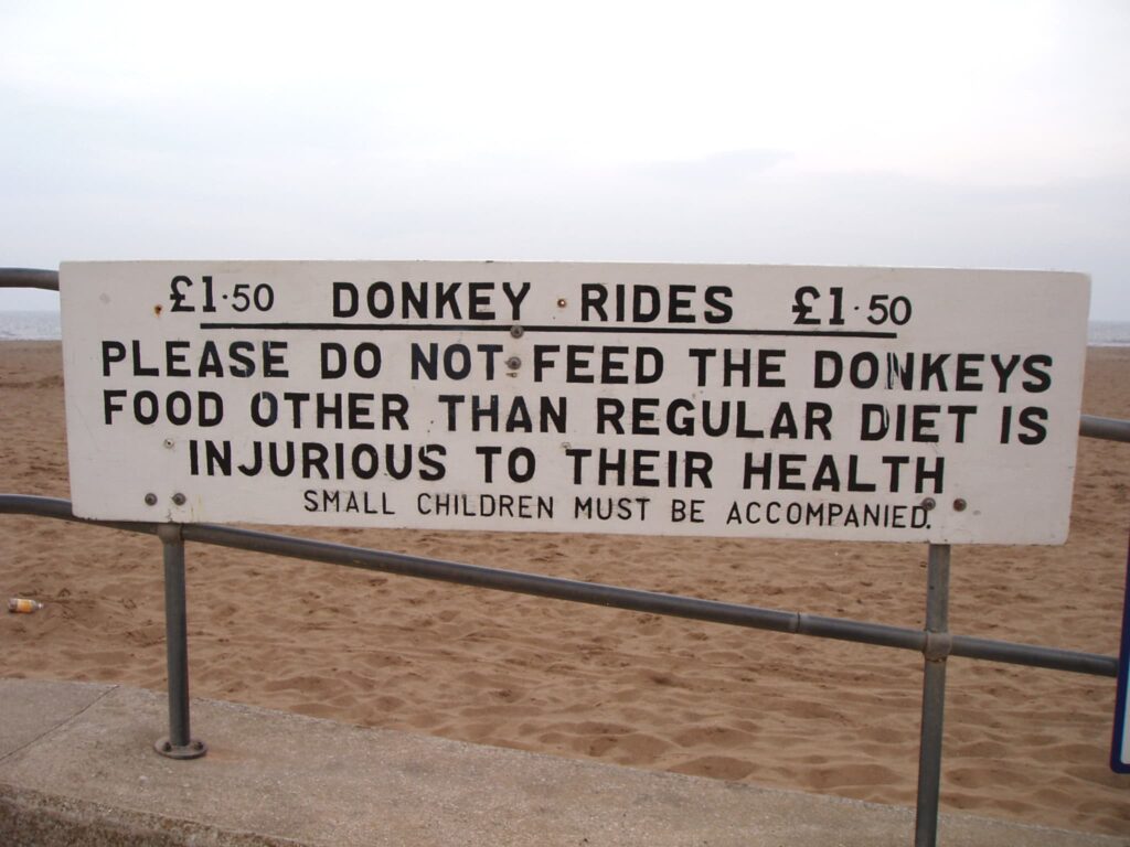 Please Do Not Feed The Donkeys